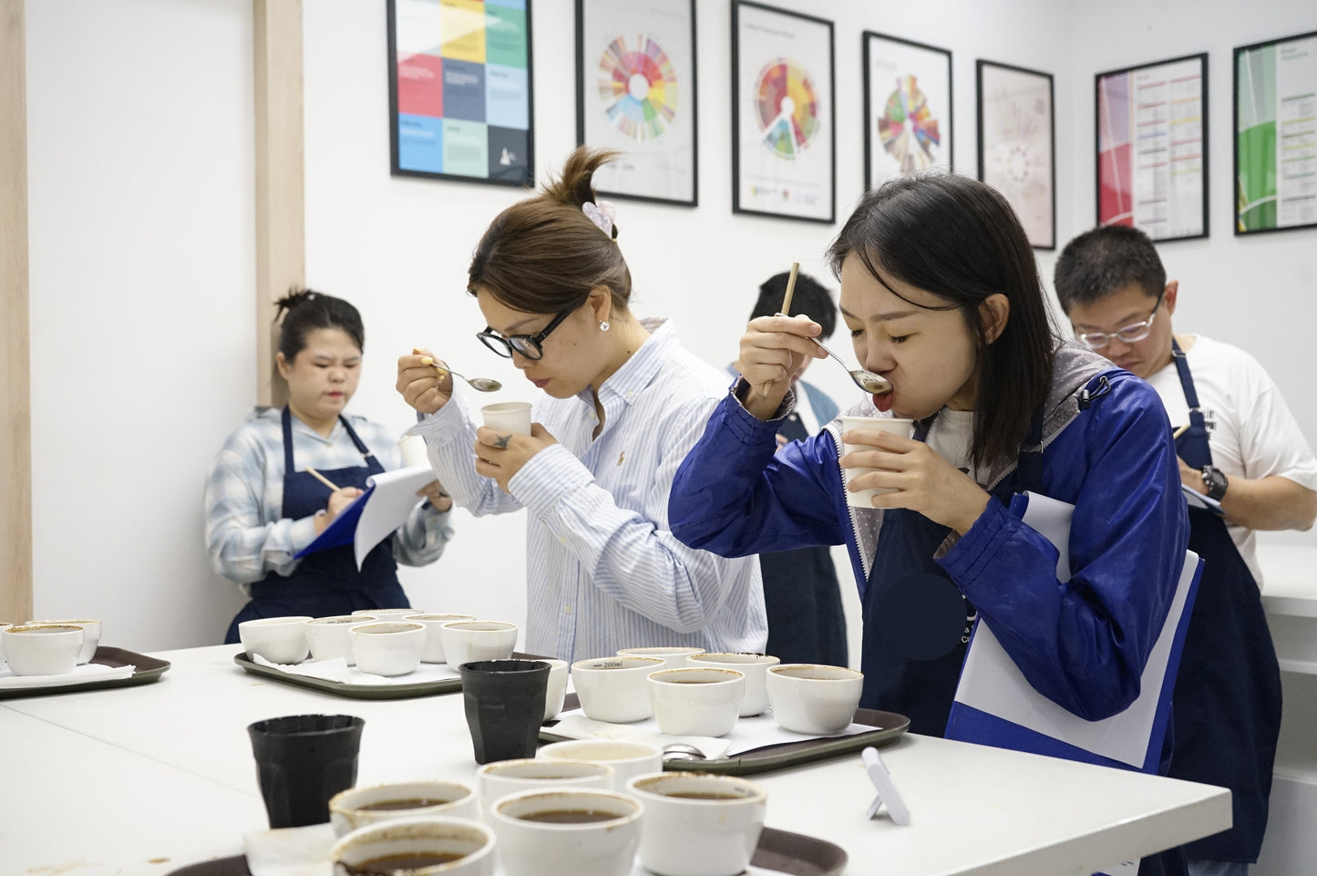 SCA CVA for cuppers course | SCA 咖啡價值評估課程