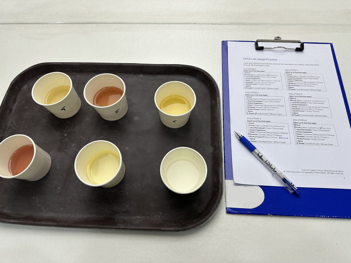 SCA CVA for cuppers course | SCA 咖啡價值評估課程