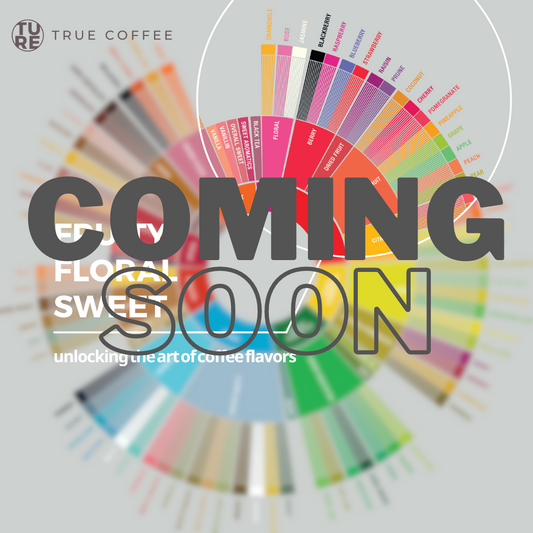 Unlocking the art of coffee flavors | sensory exploration workshop [fruity/floral/sweet] 揭開咖啡風味 | 感官體驗工作坊 [水果/花香/ 甜篇]