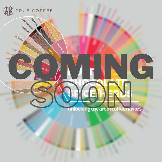 Unlocking the art of coffee flavors | sensory exploration workshop [nutty/chocolate/spice] 揭開咖啡風味 | 感官體驗工作坊 [堅果/巧克力篇/香料篇]