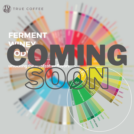 Unlocking the art of coffee flavors | sensory exploration workshop [ferment/winey/mouthfeel] 揭開咖啡風味 | 感官體驗工作坊 [發酵/酒香/口感篇]