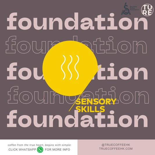 [Beginner] SCA CSP Sensory Skills Foundation | 咖啡感官技巧基礎課程