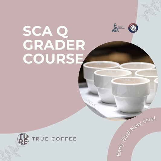 SCA Q Grader Course | 咖啡品鑑師 證書課程