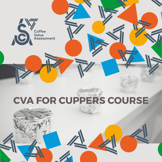 SCA CVA for cuppers course | SCA 咖啡價值評估課程