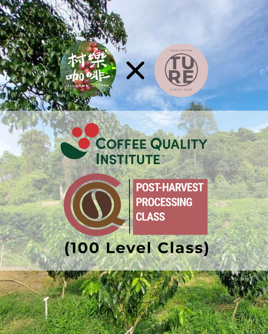 [Beginner] 咖啡後製加工入門在原產地  INTRODUCTION to Post-Harvest Processing IN FIELD
