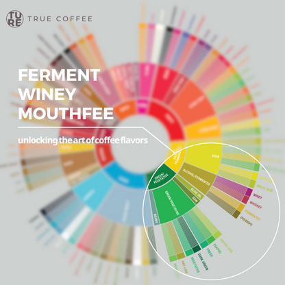 Unlocking the art of coffee flavors | sensory exploration workshop [3 section] 揭開咖啡風味 | 感官體驗工作坊 [3堂課程]