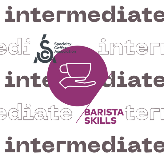 [Advancers] SCA CSP Barista Skills Intermediate Course| SCA 咖啡師技能進階課程