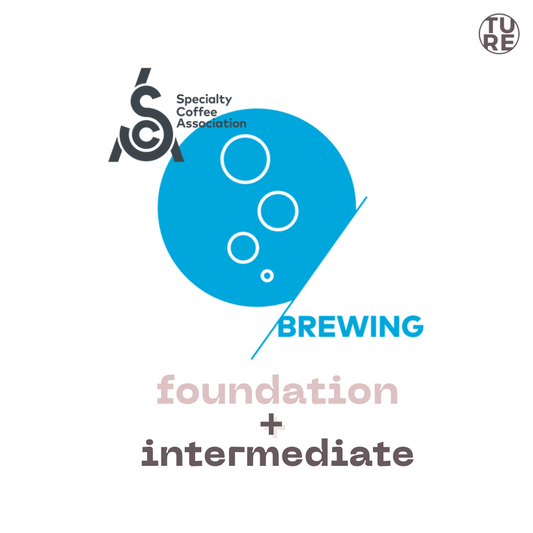 [Beginner] SCA CSP Brewing Foundation + Intermediate | 咖啡沖煮基礎+進階課程