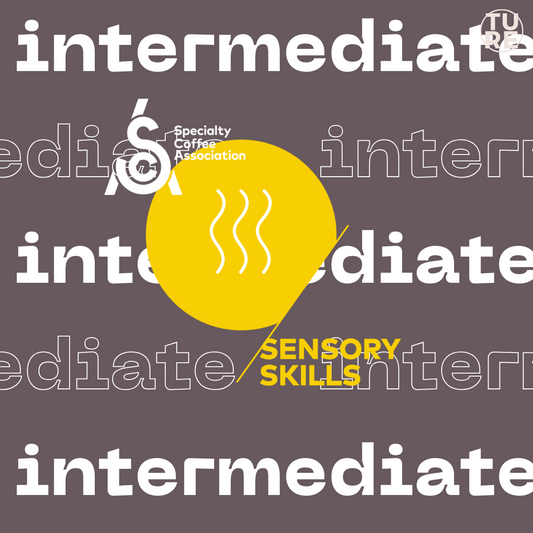 [Advancer] SCA CSP Sensory Skills Intermediate | 咖啡感官技巧 進階課程
